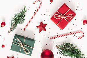 Holidays of Giving Photo