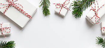 Holidays of giving image 2024