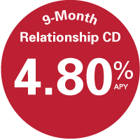 480% APY 9 month relationship CD image