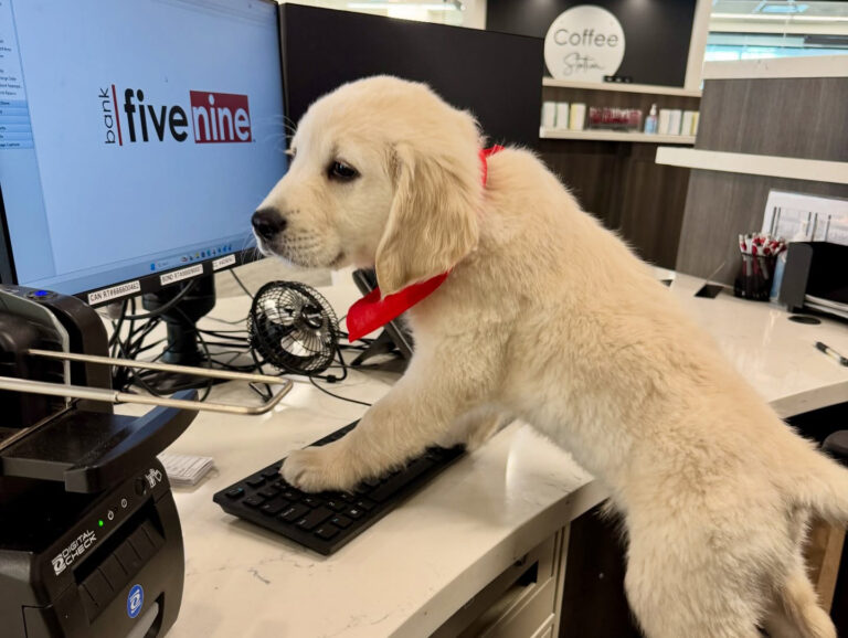 A Hard Day's Work